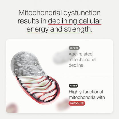 Mitopure Powder Urolithin A
